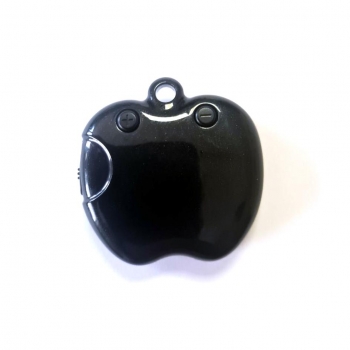 Аудио рекордер тип Apple с 8GB вградена памет